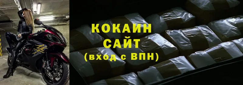 закладки  Анапа  COCAIN Fish Scale 