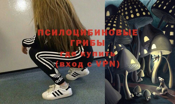 СК Домодедово