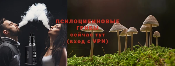 СК Домодедово