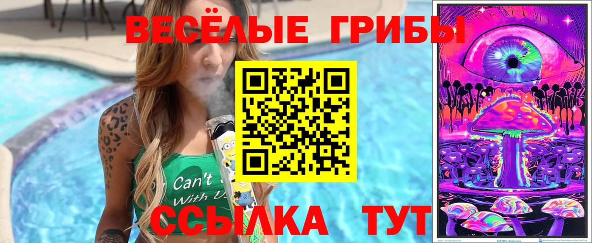 Псилоцибиновые грибы мицелий Анапа