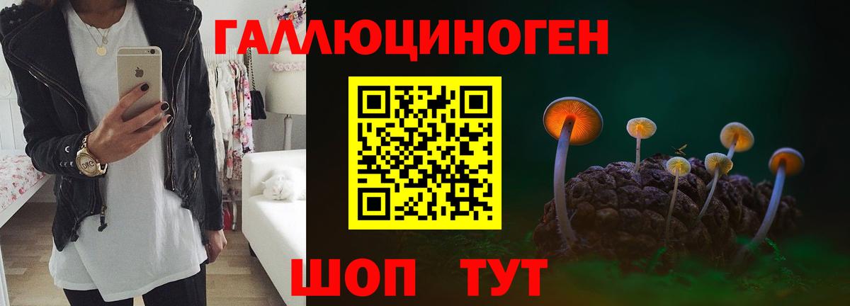 Псилоцибиновые грибы Cubensis  Анапа 